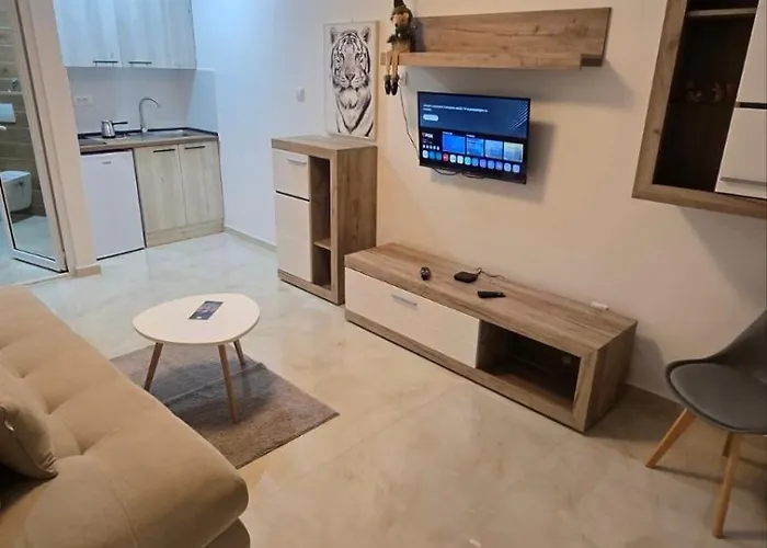 شقة Beli Tigar بيتروفارادين